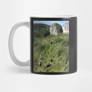 Herdwick Sheep, Corfe Castle, Dorset, England Mug